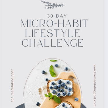 Micro Habits Book | 30 Day Challenge | The Meditating Goat